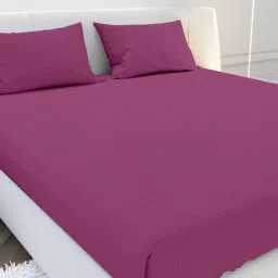 mayfair homes london Pink Solid 210 TC Cotton Fitted Bedsheet with 2 Pillow Covers Satin Stripe 2024 Collection image 1