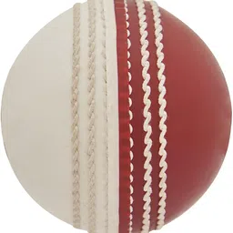 ceela Pvc Training Cricket Training Ball-picture-25