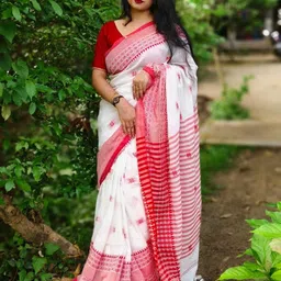 balorampal Geometric Print Handloom Pure Cotton Saree-picture-20