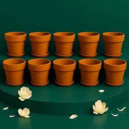 10 Pcs Red Terracotta 4.5 Inchs Planters-image-56