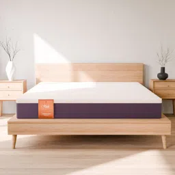 hush Ergonomic 6 Inch Memory Foam Queen Size Mattress-picture-31