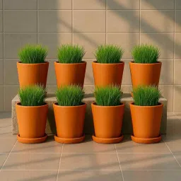 the handicraftian 8 Pcs Red Terracotta 5.5 Inchs Planters image 3