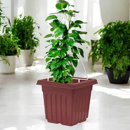 ecofynd White Triangle Planter Stand For Climbing Plants image 1