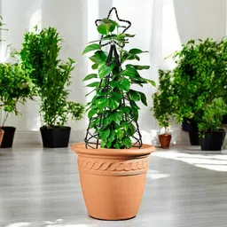 ecofynd Black Star Planter Stand For Climbing Plants image 1