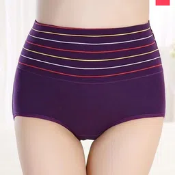 SHREE GANESH FASHION Pack Of 2 High Rise Cotton Anti Microbial Hipster Briefs-image-2