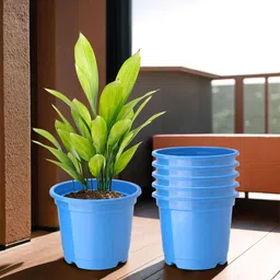 Kuber Industries 6-Pcs Blue Durable Planters image 1