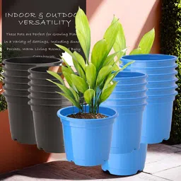 Kuber Industries Pack Of 24 Blue & Black Planters image 1