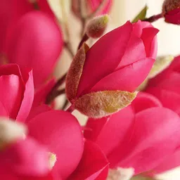 Pure Home and Living Pink Magnolia Artificial Flower image 1