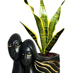 LASAKI Black & Gold-Toned Textured Couple Shape Ceramic Planters-picture-24