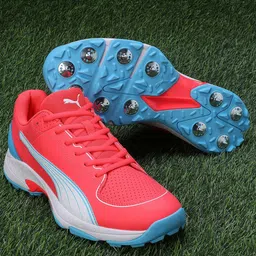 Puma Unisex Spike 24.2 Cricket Shoes-image-73
