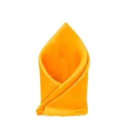 The Tie Hub Pure Silk Pocket Squares-image-31