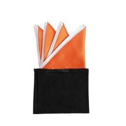 Alvaro Castagnino Men Orange Solid Pocket Squares-picture-16
