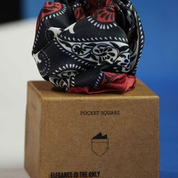 Tossido Men Paisley Printed Pocket Square-picture-33
