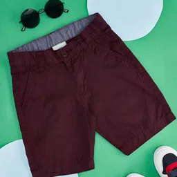 Pantaloons Junior Boys Mid-Rise Cotton Chino Shorts-picture-37