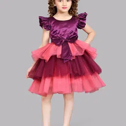 Pink Chick Girls Round Neck Flutter Sleeve Layered Net Fit & Flare Dress-picture-16