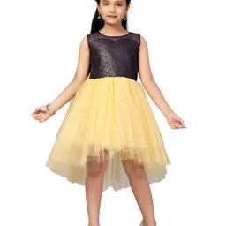 BAESD Girls Self Design Round Neck Sleeveless Fit & flare Sequined Dress-picture-13