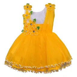 Wish Karo Net Fit & Flare Dress With Floral Corsage-picture-24