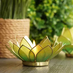 Pure Home and Living Green & Gold Toned 21 Petals Candle Holders-picture-22