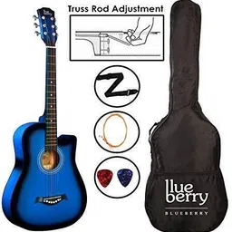 blueberry 38C IN Acoustic Guitar Basswood, Mahogany, Rosewood Rosewood Right Hand Orientation-picture-27