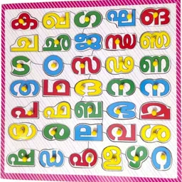apd Malayalam Consonant Knob Puzzle|Malayalam Wooden Learning toy |Educational Toy-picture-11