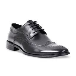 Cobblerz Men Perforated Leather Formal Brogues image 2