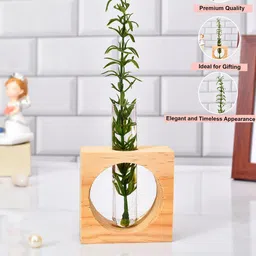 TAYHAA Beige Harmony Test Tube Vase with Wooden Stand image 4