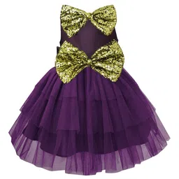 A.T.U.N. Girls Burgundy & Gold-Toned Layered Net Dress with Headband image 2