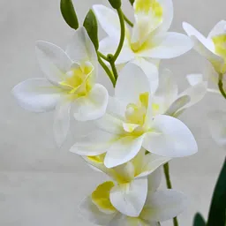 Blooming Floret White & Green Orchid  Artificial Flower image 3