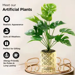 UMAI Green & Gold toned Monstera Deliciosa Artificial Plant With Pot image 3
