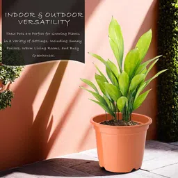 Kuber Industries Pack Of 10 Orange & Black Planters image 3