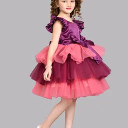 Pink Chick Flutter Sleeve Layered Net Fit & Flare Dress image 3