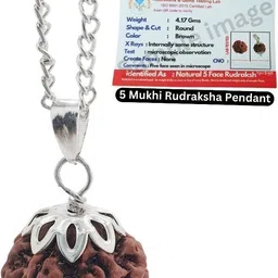 guruji gems & jewellery Original 5 Mukhi Rudraksha with Certificate Silver Beads Brass, Wood Locket image 2