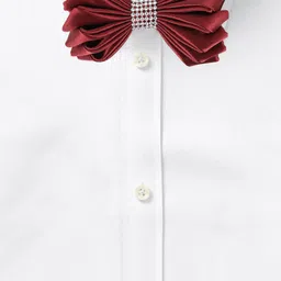 Alvaro Castagnino Men Maroon & Silver-Toned Solid Bow Tie image 5