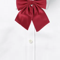 Alvaro Castagnino Men Maroon Bow Tie image 3