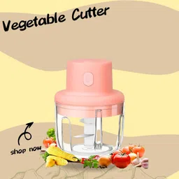 alakhexport Electric Vegetable & Fruit Chopper-picture-23