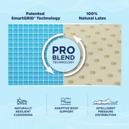 the sleep company Luxe Pro SnowTec Smart 6 Inch Latex King Size Mattress With Grid Layer image 3