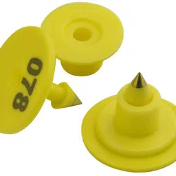 bethlehem Animal Ear Tag Plain Yellow Dog Tag image 2