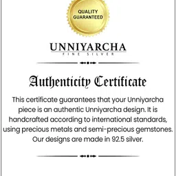 Unniyarcha Silver Artificial Stones Drop Earrings image 4