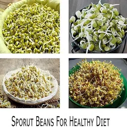 cozyzoro Plastic Sprout Maker - 500 ml image 4