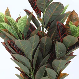 Home Bloom Green Croton Artificial Plant With Pot image 4