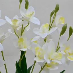 Blooming Floret White & Green Orchid  Artificial Flower image 5