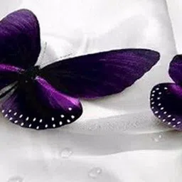 aciloc Polycotton Double Flat 300 TC 3D Printed Bedsheet image 2