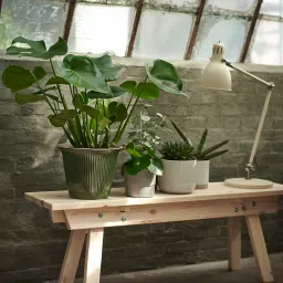 ikea gradvis Plant pot, grey, 15 cm image 4