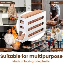 vidora Plastic Egg Container - 2 dozen image 2