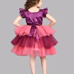 Pink Chick Flutter Sleeve Layered Net Fit & Flare Dress image 4