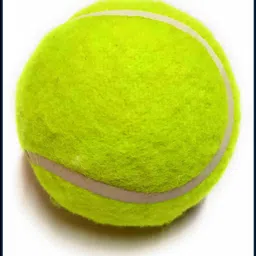jai shri New-New-Tennis _80Pack of 6 Tennis Ball-picture-30