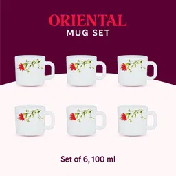 Larah by BOROSIL Red & White 6-Pieces Floral Printed Opalware Matte Mugs 100 ml image 5