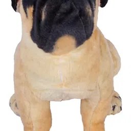 jaibalajitrading Pug Stuffed Toy - 28 cm image 1