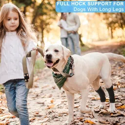 petworld Joint Warps Support Help Hind Legs Injuries Sprains Arthritis Torn ligament Knee Support image 5
