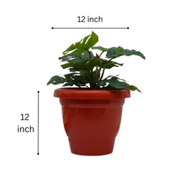 gold dust Brown Plastic (Set of 5) Desk Pots image 2